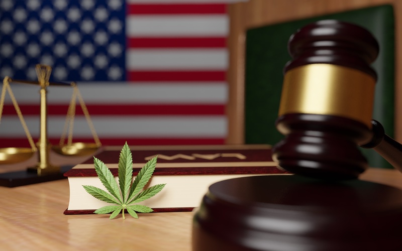 What You Need to Know About Cannabis Laws in Utah